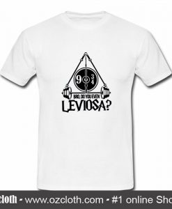 Harry Potter Bro Do You Even Leviosa T Shirt