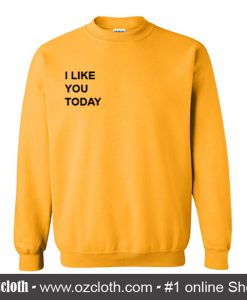 I Like You Today Sweatshirt (Oztmu)