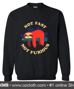 Not Fast Not Furious Sweatshirt (Oztmu)