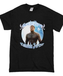 Chadwick Boseman RIP T-Shirt (Oztmu)
