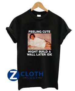 Feeling Cute Might Build The Wall Later IDK T-Shirt AA