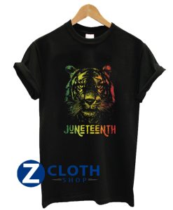 Tiger Juneteenth Cool Black History African America Flag Tee T-Shirt AA