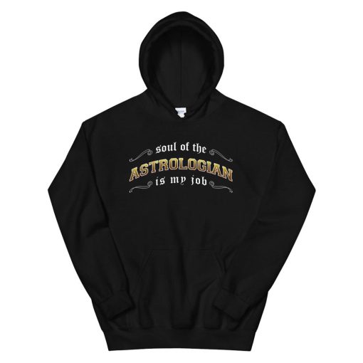 Astrologian Is My Job Fantasy Mmo Gamer Hoodie AA