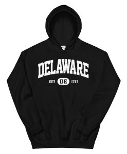 Delaware Sweatshirt Retro Vintage Delaware Hoodie AA