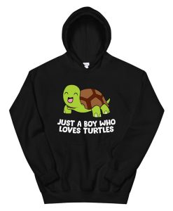 Just A Boy Who Loves Turtles Cartoon Sea Turtle Boy Hoodie AA